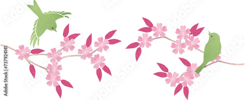 桜の枝にとまる鶯のイラスト