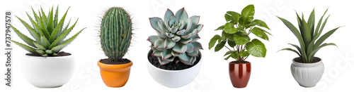 Set of minimal decorative plants aloe vera, cactus, echeveria, agave, philodendron in ceramic pots isolated on transparent background. Generative AI