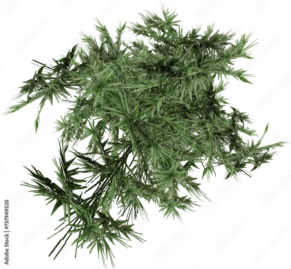 Fototapeta premium Realistic individual Trees top view for landscape plan isolated white background