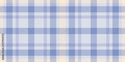 India plaid vector seamless, free pattern check background. Luxury fabric texture tartan textile in white and blue colors.