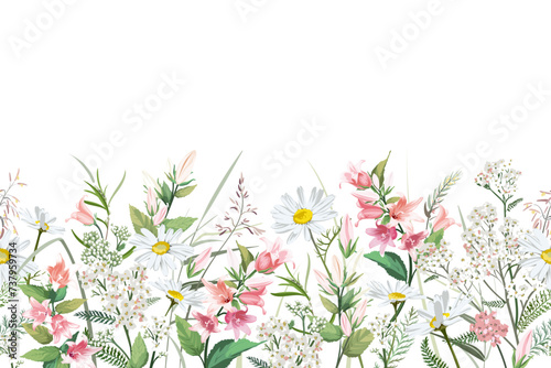 Colorful hand drawn sketch of flowers and grass. Horizontal seamless pattern with plants on a light background. Medical herbs and spice. Frame with wildflowers. 