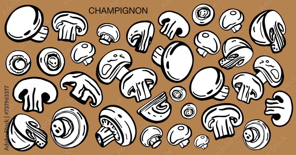 Isolated vector set of mushrooms. Champignons set. Hand drawn style. Isolated vector set of mushrooms. Champignons set. Hand drawn style.