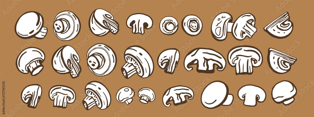 Isolated vector set of mushrooms. Champignons set. Hand drawn style. Isolated vector set of mushrooms. Champignons set. Hand drawn style.