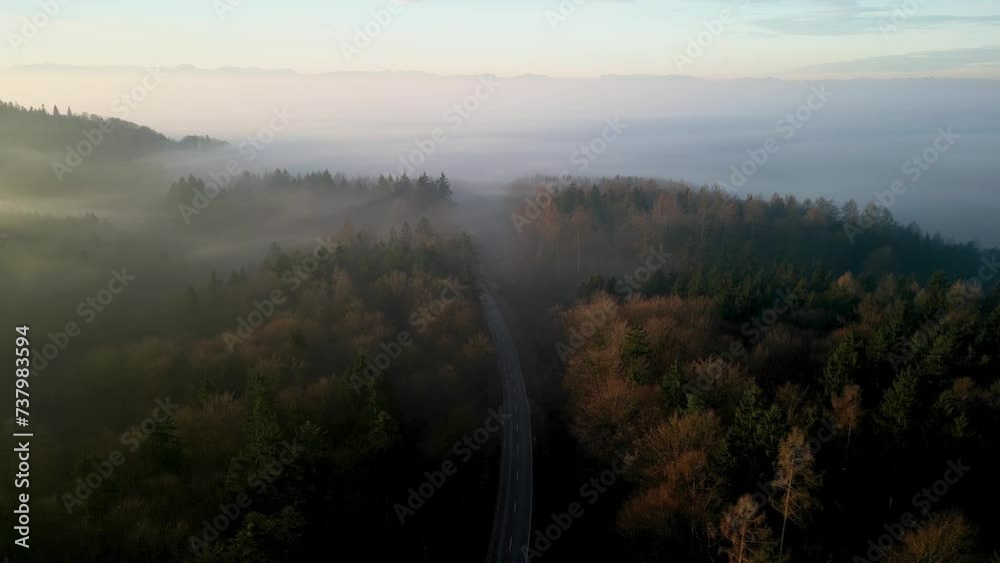 Left directed drone flight over forest street during sunrise Left directed drone flight over forest street during sunrise