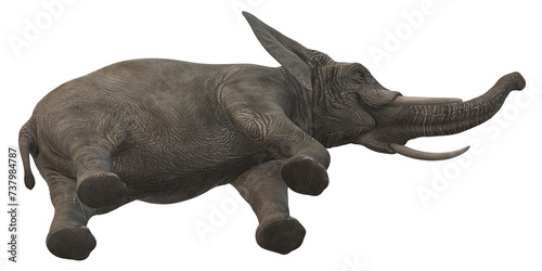 Elephant isolated on a Transparent Background