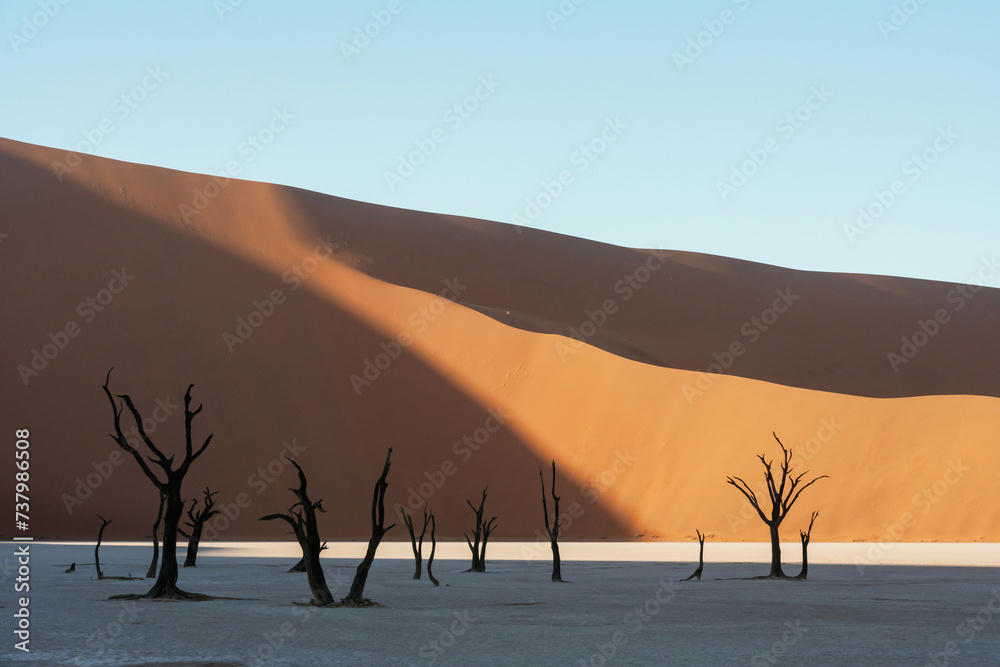 Dead trees. Sossusvlei, Famous sand dunes and dead trees in Deadvlei