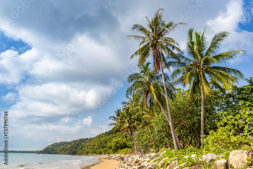 Tropical Coast with white Beach and Palm Trees of Mission Beach, Queensland, Australia.