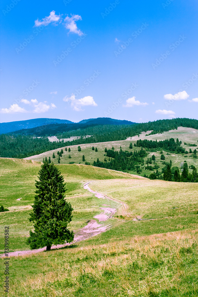 Summer in Pieniny Mountains. View of valley of nature reserve 