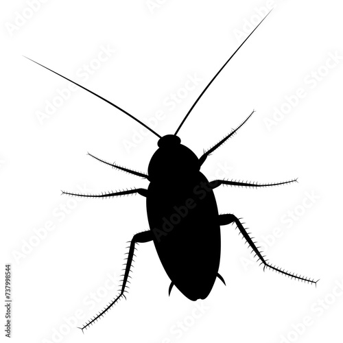 Cockroach insect vector silhouette on white background. Dirty and very dangerous pest insects.