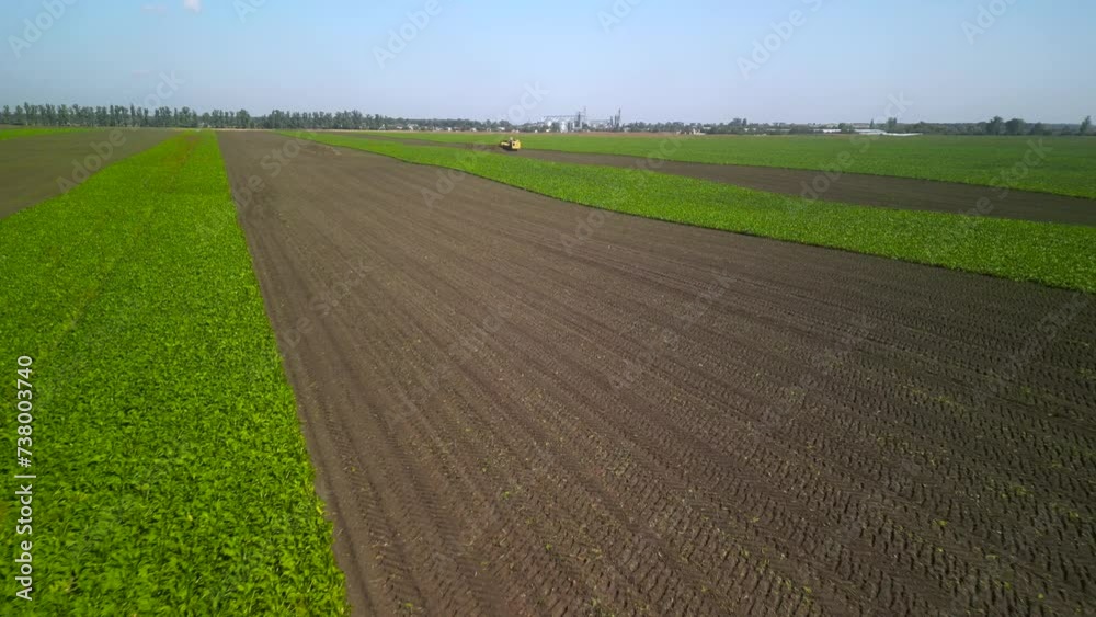 Agriculture - Sugar Beet Field Aerial View during harvest Agriculture - Sugar Beet Field Aerial View during harvest