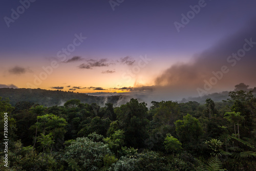 Sunset above Rainforest of Lamington National Park  Queensland  Australia.
