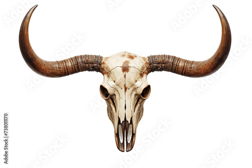 Bull Skull With Long Horns. A photograph of a bull skull with long horns placed on a Transparent background.