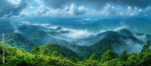 mountain forest landscape with cloudy sky