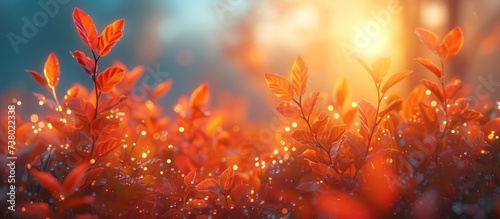 Autumn natural background © KRIS