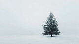 Solitary Pine Tree in Snowy Winter Landscape