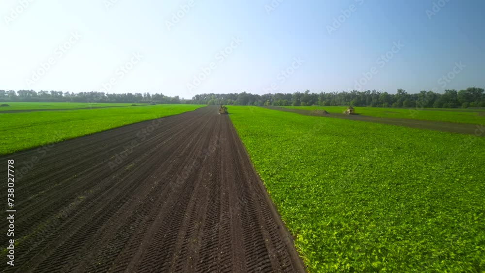 Agriculture - Sugar Beet Field Aerial View Agriculture - Sugar Beet Field Aerial View