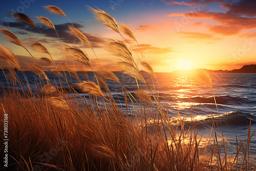 Beautiful golden sea sunset with reeds sway on wind