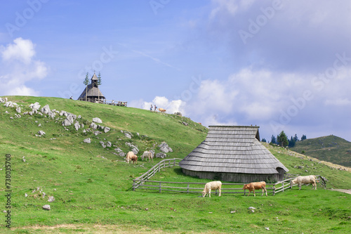 authentic slovenian wooden huts in a green alpine valley for seasonal horned cattle grazing