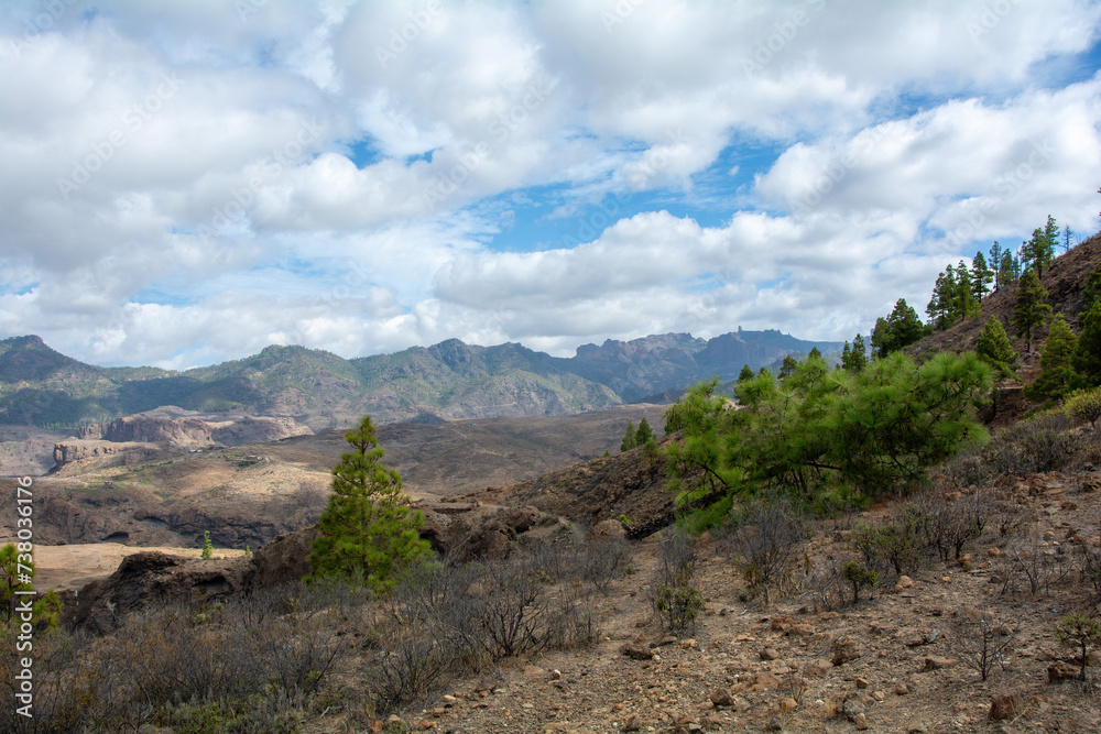 Panoramic view of the  mountains on the island of Gran Ganaria with pine trees