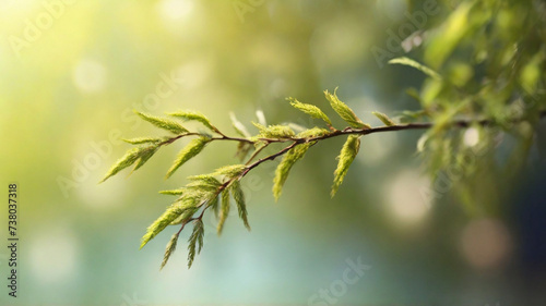 willow branches of bright green color in spring on blurred background, begins to bloom, nature comes to life, screensaver, wallpaper, pattern for calendar, notebook, cover, poster, space for text,