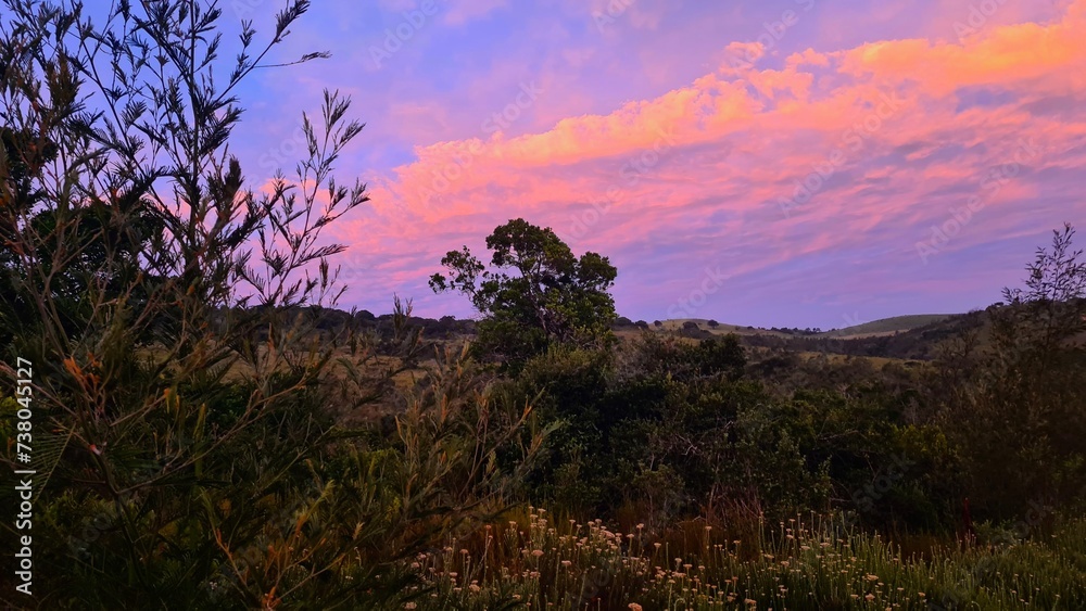 Colorful sunset in savanna