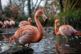 A serene assembly of flamingos congregating at the water's edge, surrounded by vegetation