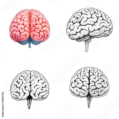 Brain Model (Human Brain Model) simple minimalist isolated in white background vector illustration