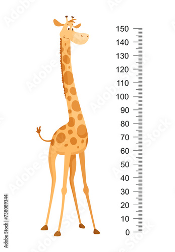 Funny giraffe. Cheerful funny giraffe with long neck. Giraffe meter wall or height chart or wall sticker. Illustration with scale from 0 to 150 centimeter to measure growth
