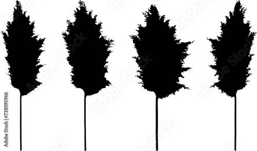Pampas grass silhouettes, black on white, minimalist design, modern aesthetic, natural decor, wall art, digital prints, elegant, lush, feathery texture, full plumes, stark contrast