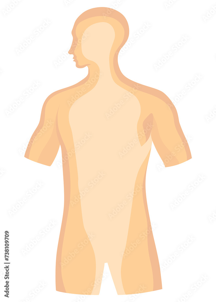 Fototapeta premium Human body internal parts poster. Medical anatomy infographic. cartoon illustration
