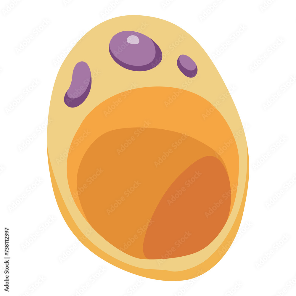 Fototapeta premium Human cell type icon. Medicine and biology illustrative symbol. Health, anatomy and science. Biology isolated on white background