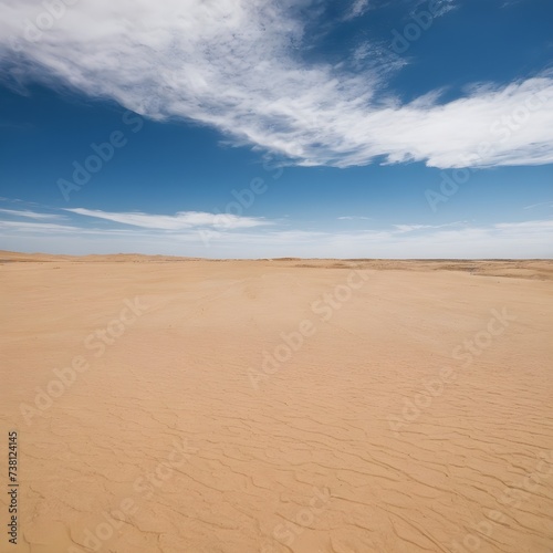 sand dunes in the desert.