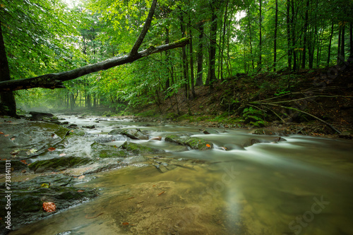 Hylaty Strem, small torrent in green deciduous forest after rain, Zatwarnica, Bieszczady. Idyllic landscape. Pure nature, ecology, environmental conservation photo