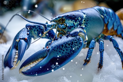 A detailed photograph showing a blue lobster up close, contrasted against a snowy background, Close-up of rare blue lobster on ice platter, AI Generated