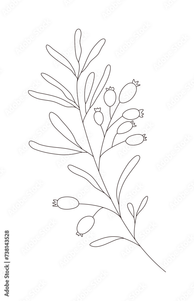 Hand drawn wild field flora, flower, herb, plant, branch. Minimal floral botanical line art. Vector illustration for logo or tattoo, invitations, save the date card.