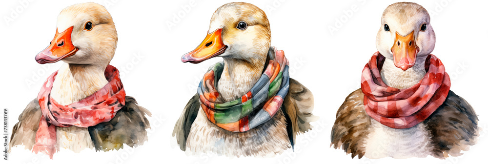Set of watercolor goose with a scarf around its neck, isolated on transparent background