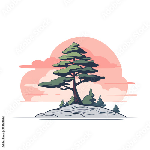 cypress tree vector illustration isolated transparent background logo, cut out or cutout t-shirt print design