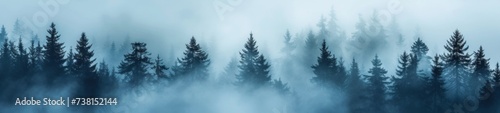 A pine forest enveloped in an ethereal fog in blue undertone photo