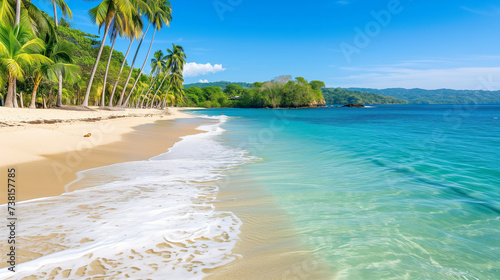 A sunny day on a tropical beach with white sandy shores and abundant palm trees lining the ocean
