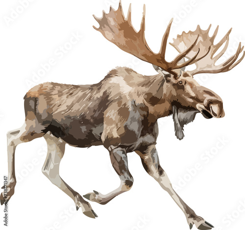 Moose from a splash of watercolor  colored drawing  realistic. Vector illustration of paints. AI generated illustration.