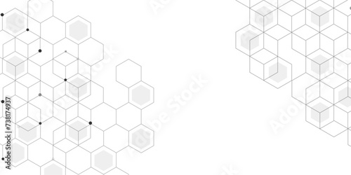 Fototapeta Naklejka Na Ścianę i Meble -  Vectors Hexagon geometric on a white background. Modern technology vector illustration with square grid.