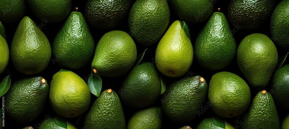 Top view full frame of whole ripe avocados placed together as background Top view full frame of whole ripe avocados placed together as background