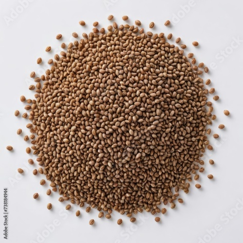 buckwheat on the white background