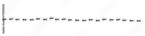 Black ant trail, 3D realistic working ants marching in row to anthill, line path pattern