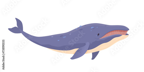 Cute cartoon blue whale vector illustration isolated on white background. Cachalot. Marine life animal. North pole and arctic nature design photo