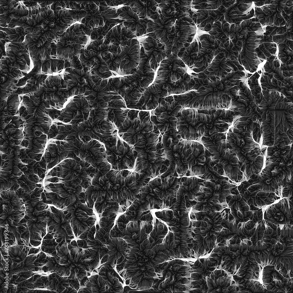 Black and White Organic Abstract Flow Textures Black and White Organic Abstract Flow Textures