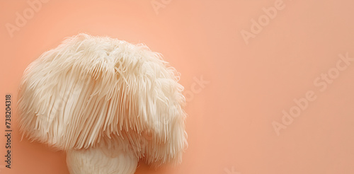 lions mane mushroom Hericium erinaceus close-up on peach color background with copy space Traditional oriental medicine Alternative treatment and health support