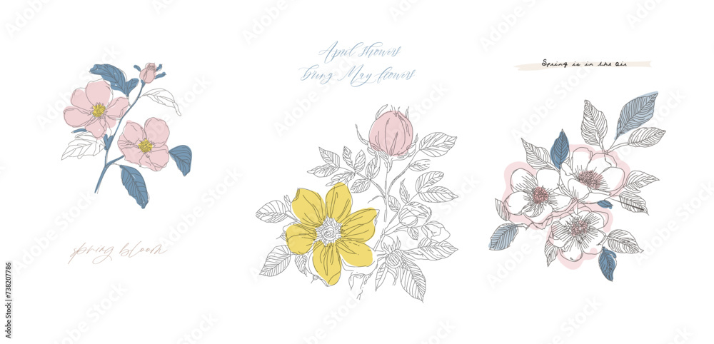 Floral vector illustration, set of gentle flowers