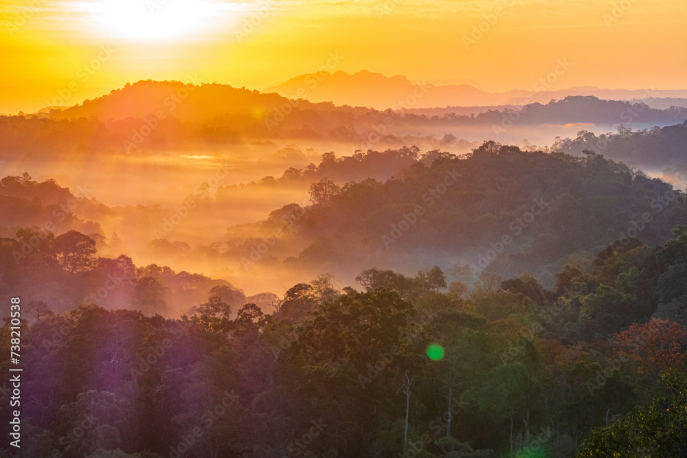 Fototapeta premium The stunning view from a tourist's standpoint as they go down a hill on a foggy trail with a hill and a background of a golden sky in Forest Park, Thailand. Rainforest. Bird's eye view. Aerial view.