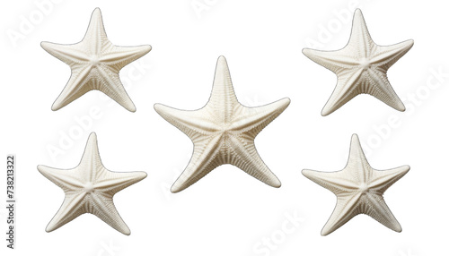 4 piece star anises png / transparent
